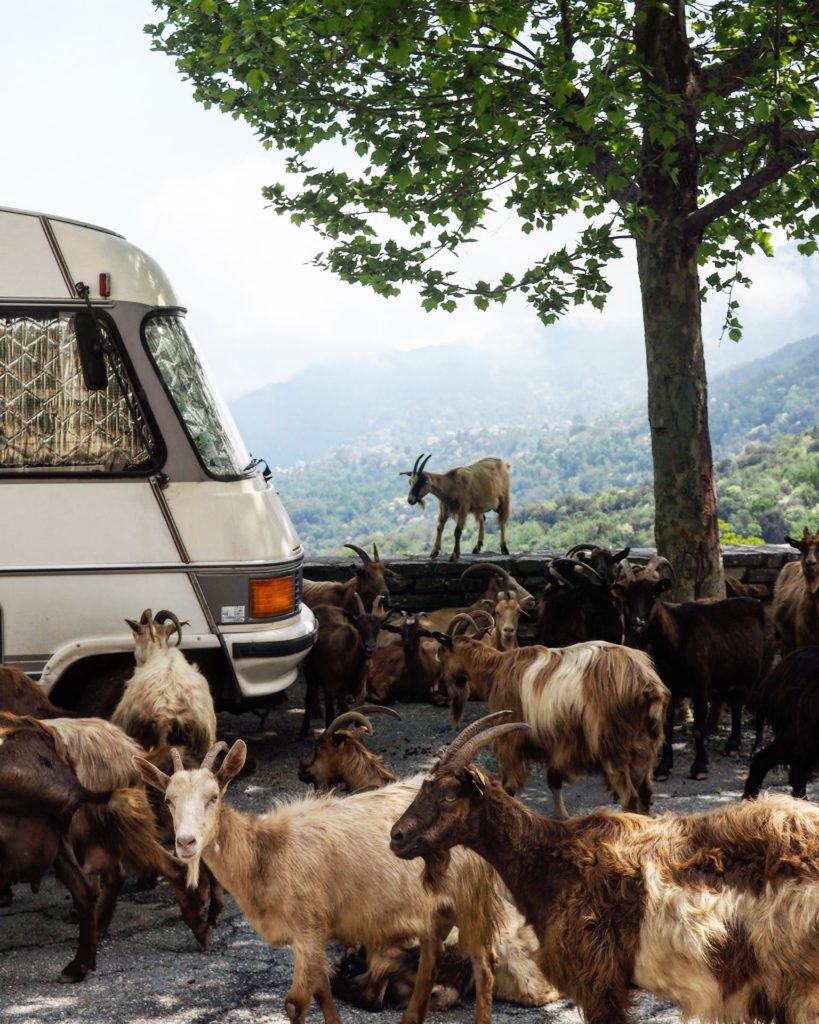 The Bon Fond caravan on the road ©BonFond