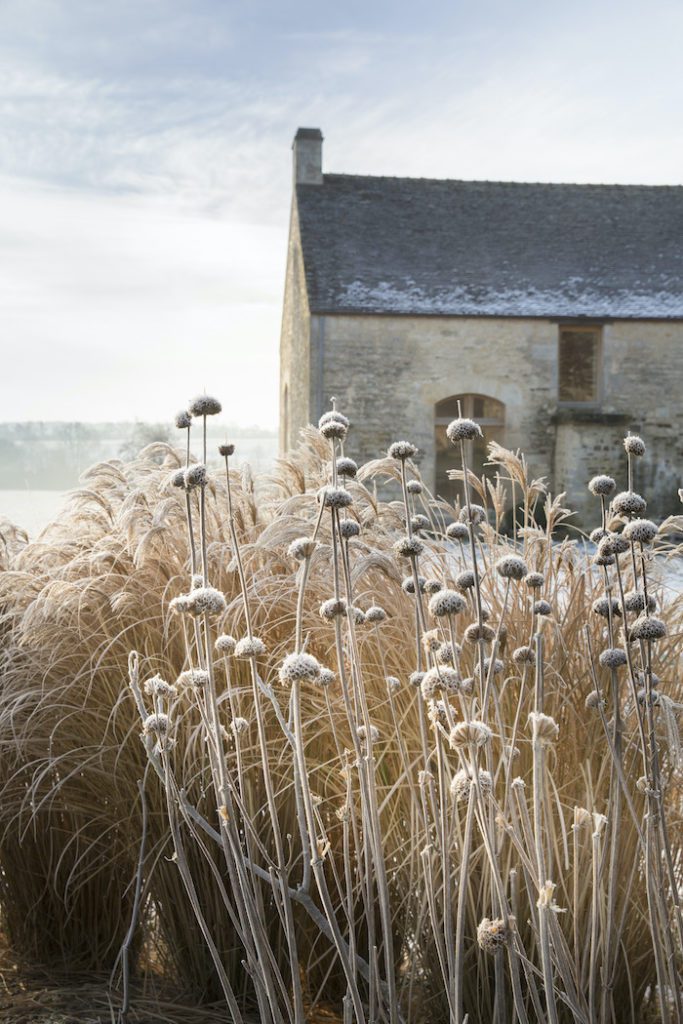 a winter garden in normandy mfch mag