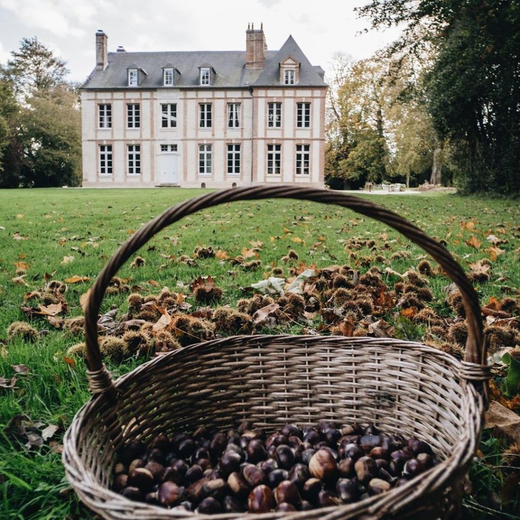 wicker basket full of chestnuts on green lawn of a french chateau