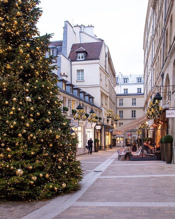 paris street with christmas tree and lights