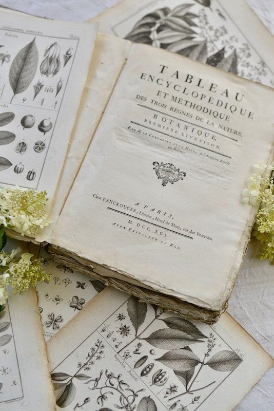 Antique Prints Book: French Products, MFCH Boutique