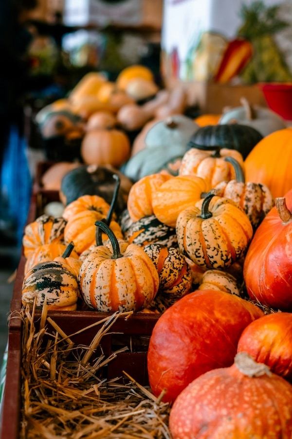 French farmers market pumpkins